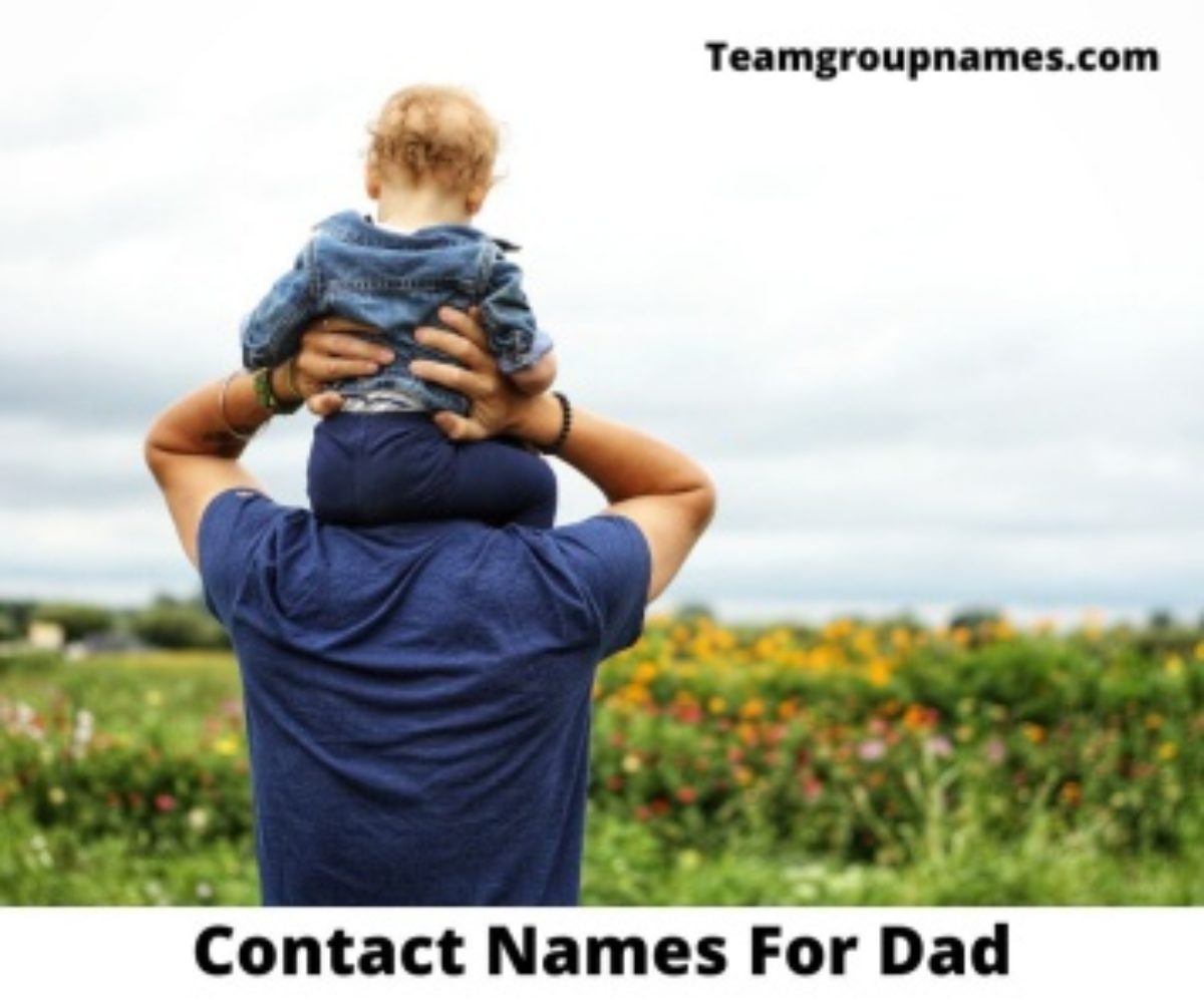 Contact Names For Dad Cool Funny Unique Nicknames Creative