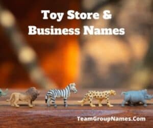 Toy Store & Business Names