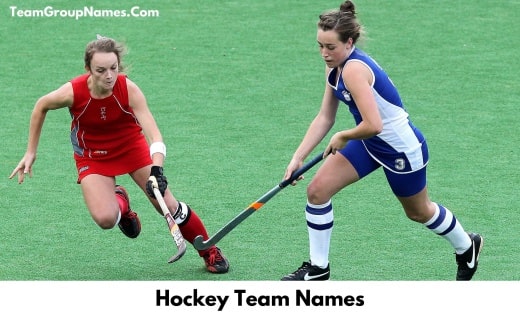 650-hockey-team-names-to-elevate-your-game