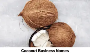 Coconut Business Names
