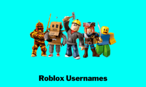Roblox Usernames