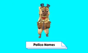 Palico Names
