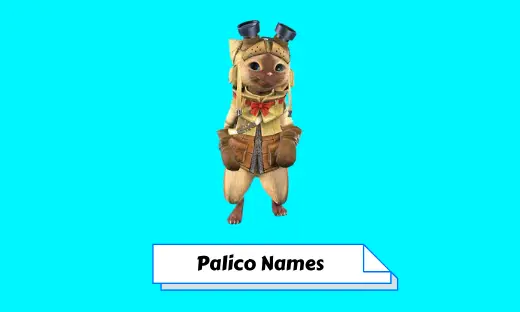 Palico Names