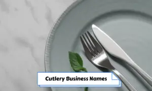 Cutlery Business Names