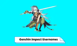 Genshin Impact Usernames