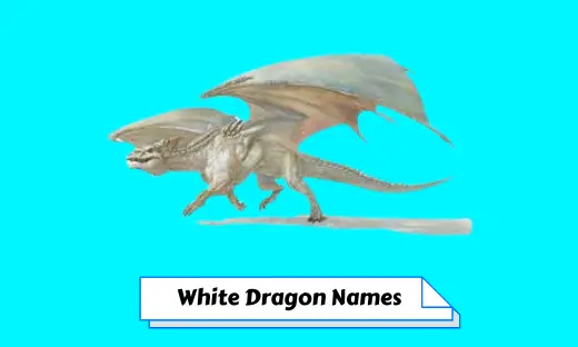 White Dragon Names