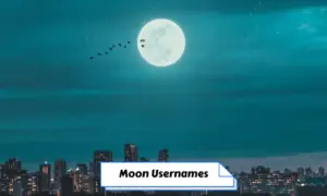 Moon Usernames