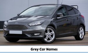 Grey Car Names