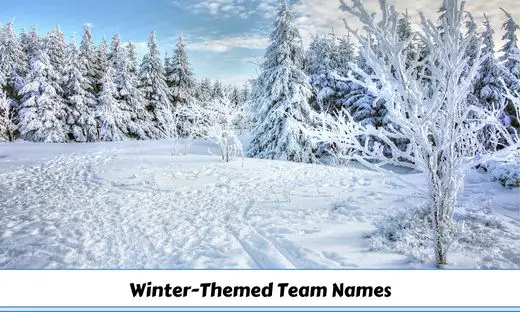 220-winter-themed-team-names-for-your-next-adventure