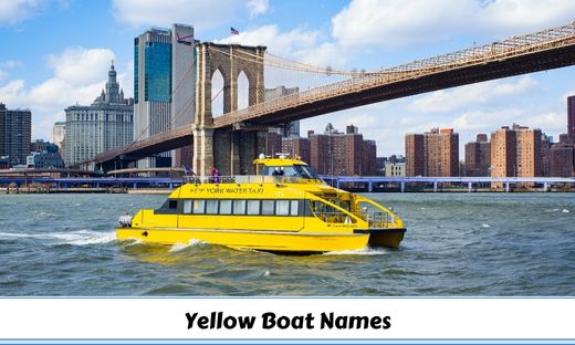 224-yellow-boat-names-to-brighten-up-your-boat