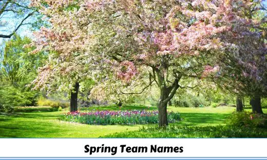 224+ Spring Team Names for Every Spring Activity