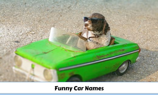 funny car names meme