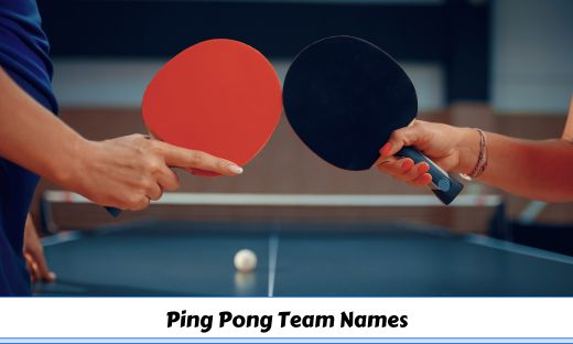 322-unique-ping-pong-team-names-to-elevate-your-game