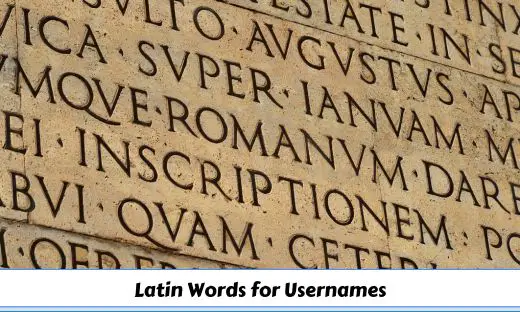 what-are-some-cool-latin-phrases-learn-latin-language-online