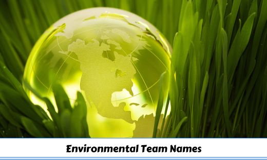 480-environmental-team-names-for-eco-friendly-crew-and-group